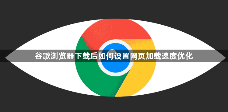 谷歌浏览器下载后如何设置网页加载速度优化