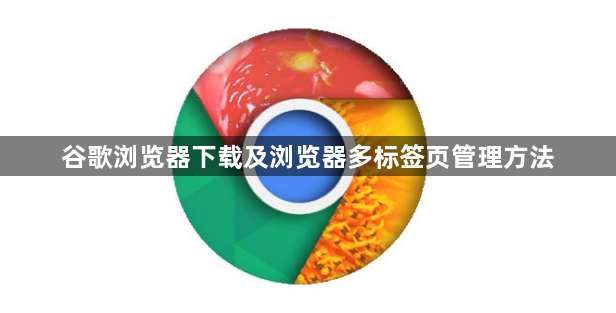 谷歌浏览器下载及浏览器多标签页管理方法1