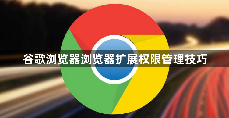 谷歌浏览器浏览器扩展权限管理技巧1