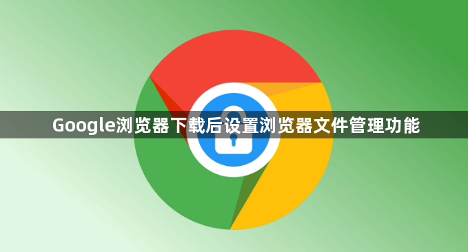 Google浏览器下载后设置浏览器文件管理功能1