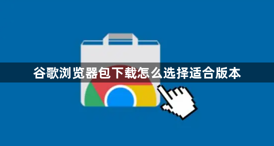 谷歌浏览器包下载怎么选择适合版本1
