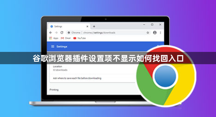 谷歌浏览器插件设置项不显示如何找回入口1