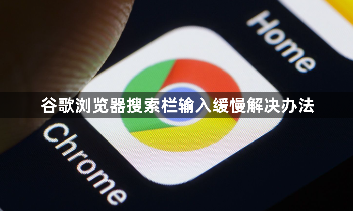 谷歌浏览器搜索栏输入缓慢解决办法1