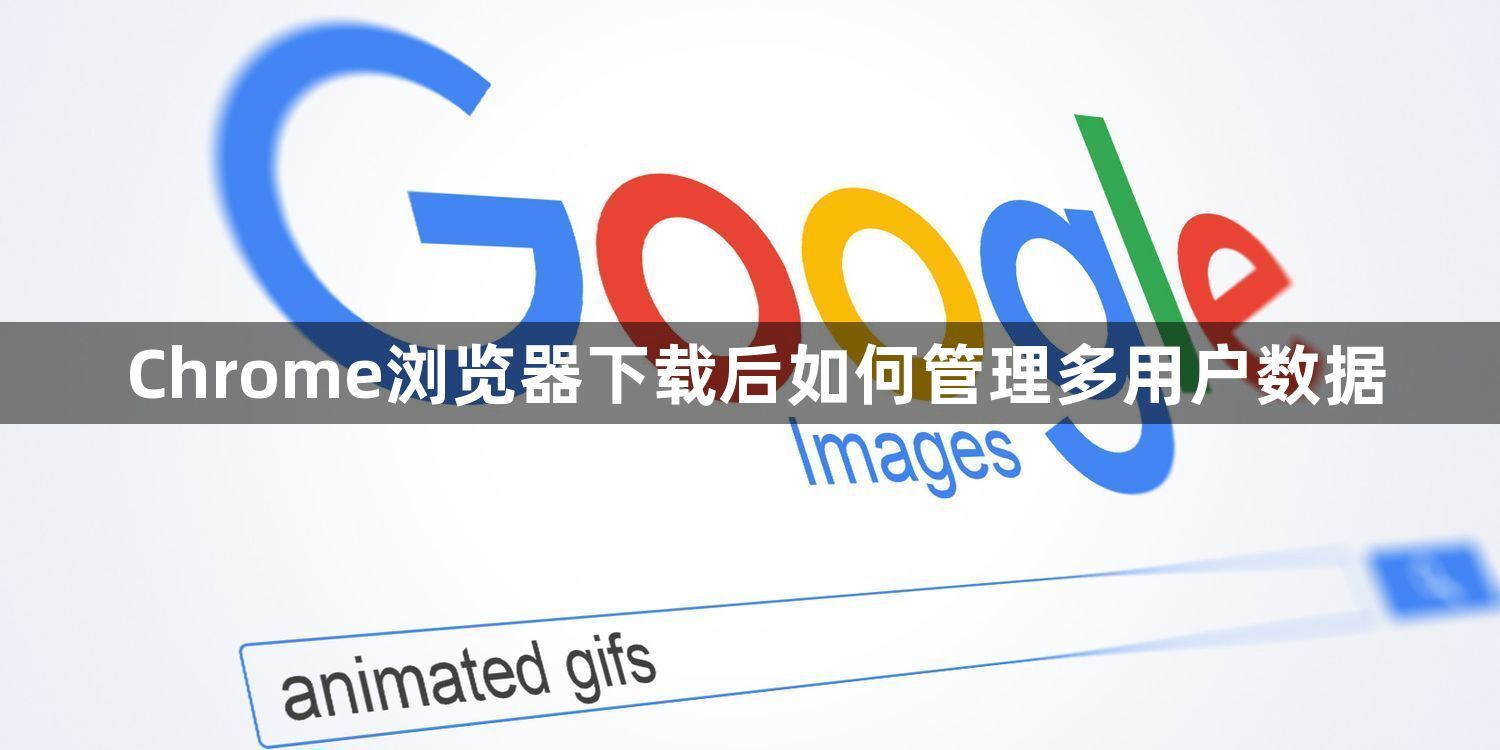 Chrome浏览器下载后如何管理多用户数据1